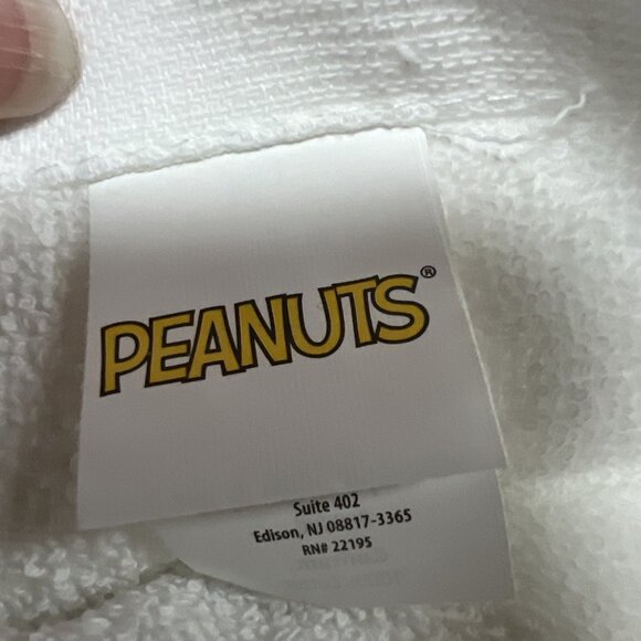 Peanuts Snoopy Charlie Brown Set If 2 Kitchen Towels “Hello Pumpkin “ - Picture 13 of 14